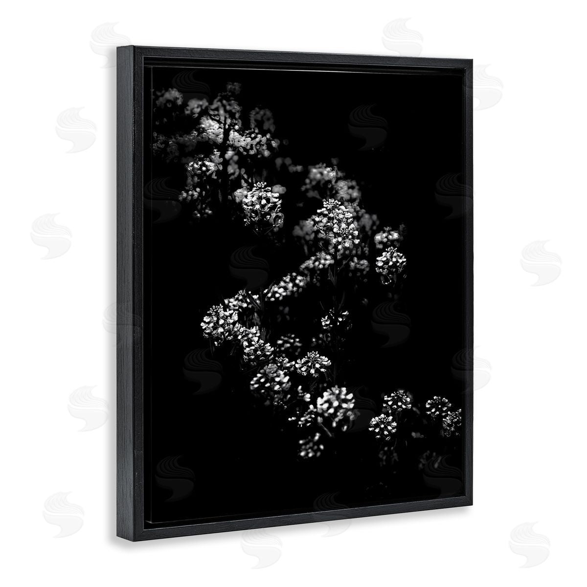 Curved Blossom Line Black Floating Frame Canvas Wall Art, Home Decor by Brian Carson