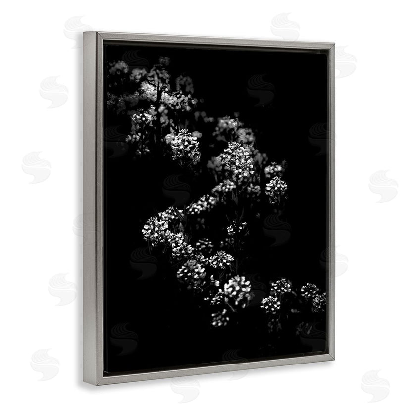 Brian Carson | Curved Blossom Line