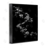 Brian Carson | Curved Blossom Line