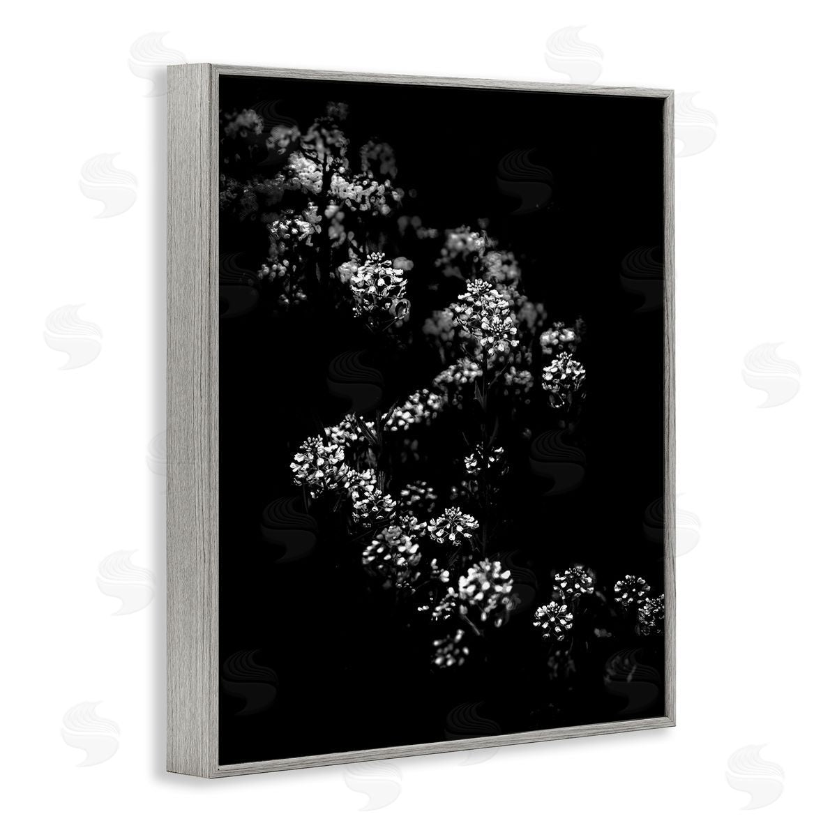 Curved Blossom Line Grey Frame Print Wall Art, Home Decor by Brian Carson