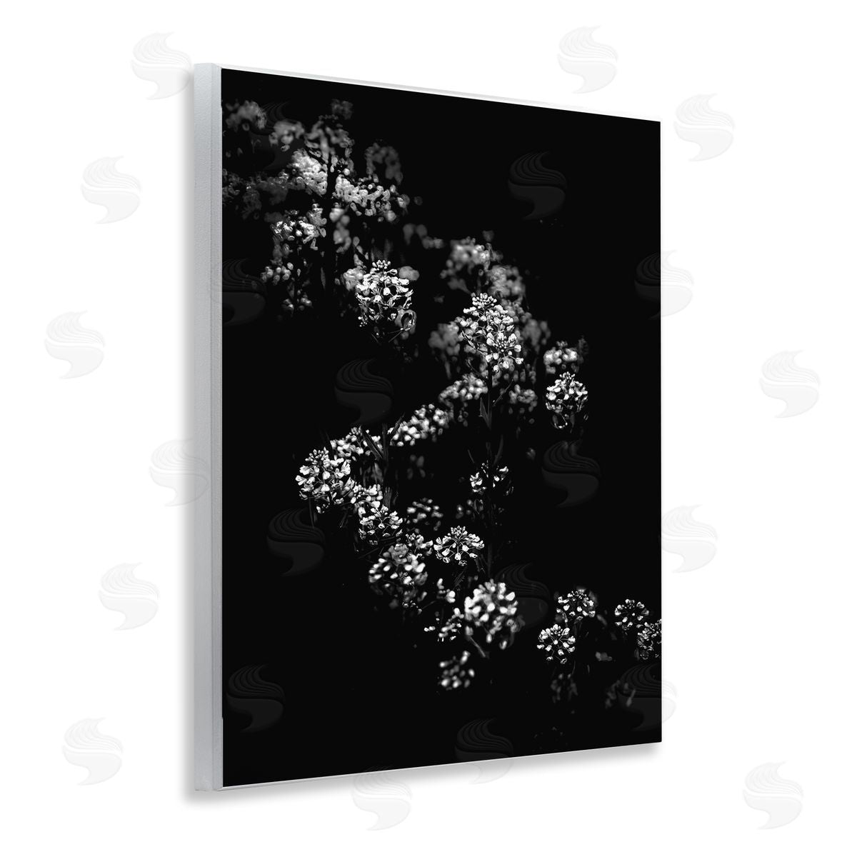 Curved Blossom Line Wood Plaque Wall Art, Home Decor by Brian Carson