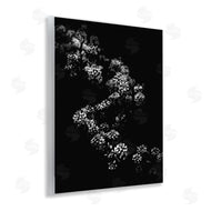 Brian Carson | Curved Blossom Line