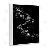 Brian Carson | Curved Blossom Line