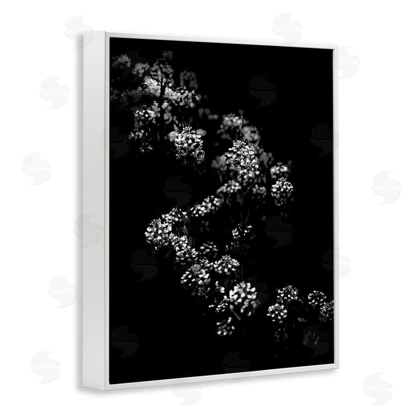 Brian Carson | Curved Blossom Line