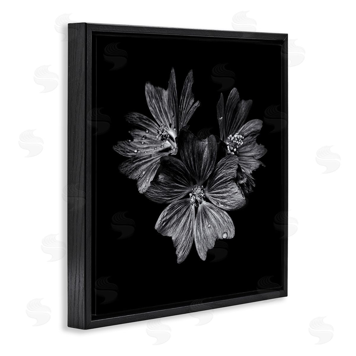 Blossom Trio on Black Black Floating Frame Canvas Wall Art, Home Decor by Brian Carson