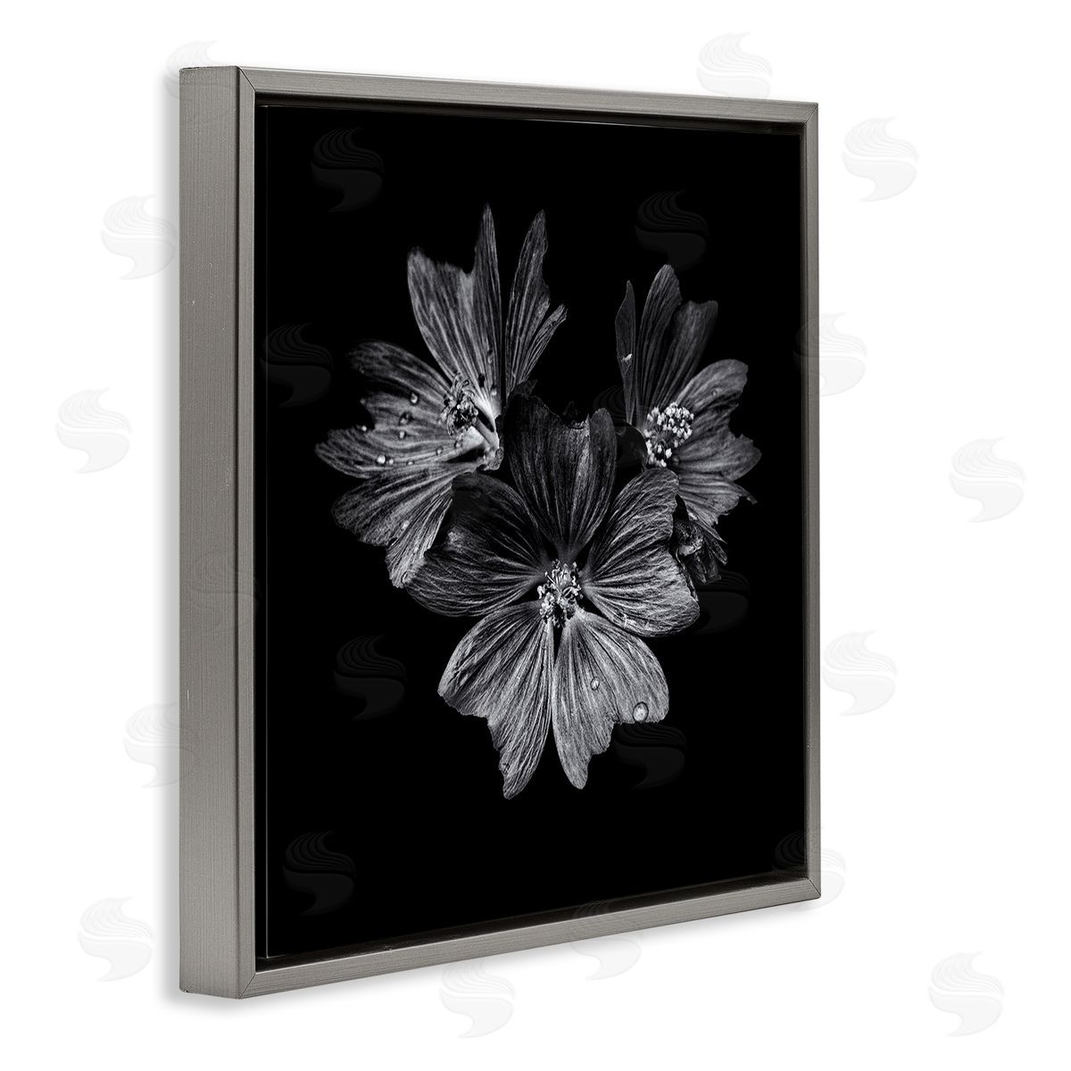 Blossom Trio on Black Grey Floating Frame Canvas Wall Art, Home Decor by Brian Carson