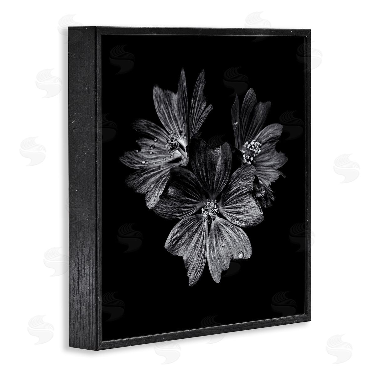 Blossom Trio on Black Black Frame Print Wall Art, Home Decor by Brian Carson