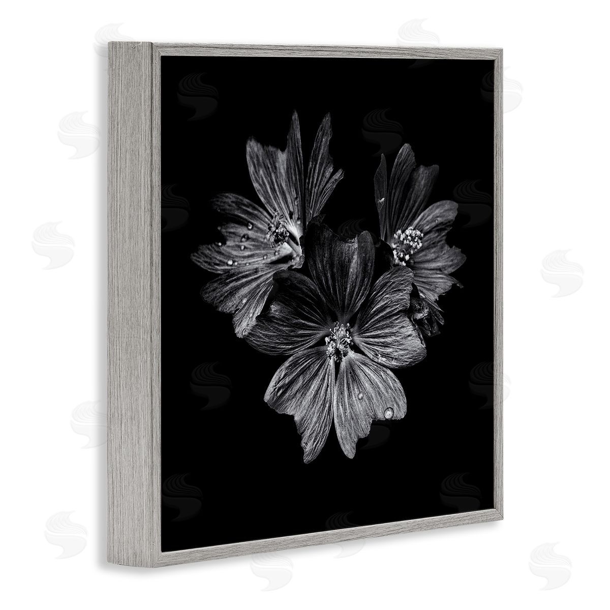Blossom Trio on Black Grey Frame Print Wall Art, Home Decor by Brian Carson