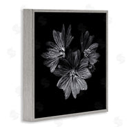 Brian Carson | Blossom Trio on Black