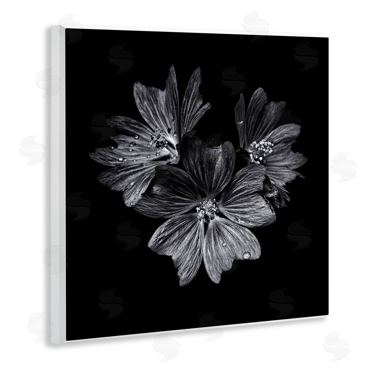 Blossom Trio on Black Wood Plaque Wall Art, Home Decor by Brian Carson