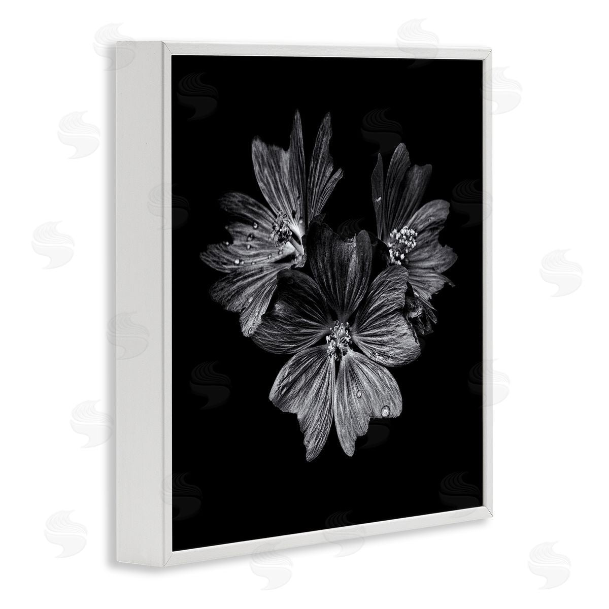 Blossom Trio on Black White Frame Print Wall Art, Home Decor by Brian Carson