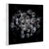 Brian Carson | Mum Bundle on Black