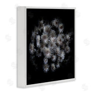 Brian Carson | Mum Bundle on Black