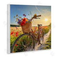 Alina Georgescu | Flower Stop Bicycle