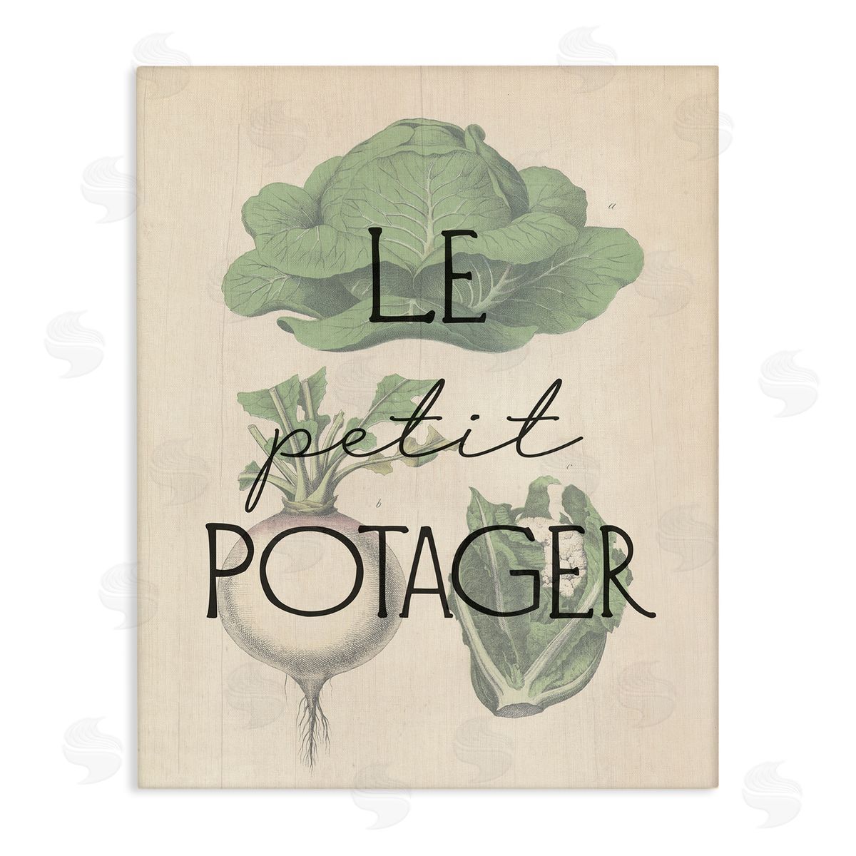 French Vegetable Garden Canvas Wall Art, Home Decor by Stupell Studio