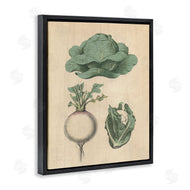 Stupell Studio | Vintage Garden Vegetables