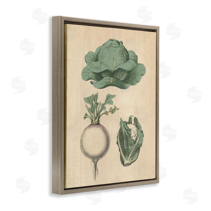 Stupell Studio | Vintage Garden Vegetables