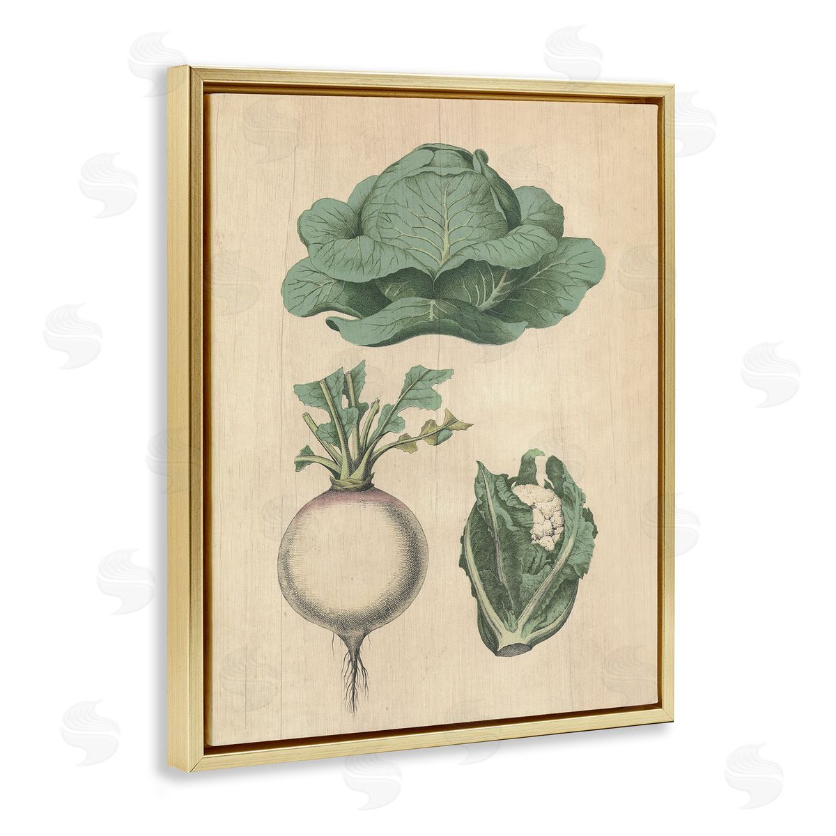 Vintage Garden Vegetables Gold Floating Frame Canvas Wall Art, Home Decor by Stupell Studio