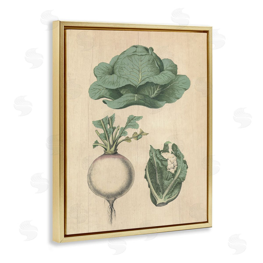 Stupell Studio | Vintage Garden Vegetables