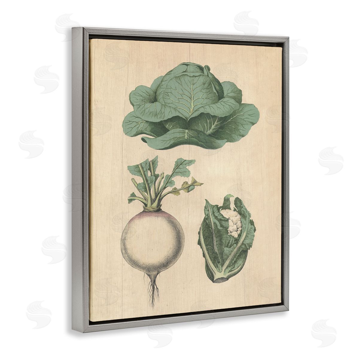 Vintage Garden Vegetables Grey Floating Frame Canvas Wall Art, Home Decor by Stupell Studio