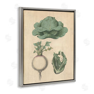 Stupell Studio | Vintage Garden Vegetables
