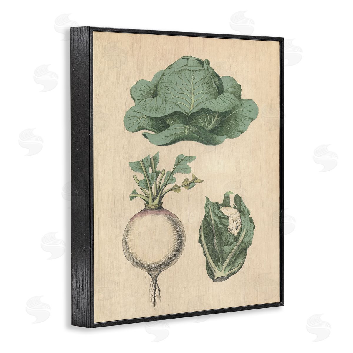 Vintage Garden Vegetables Black Frame Print Wall Art, Home Decor by Stupell Studio