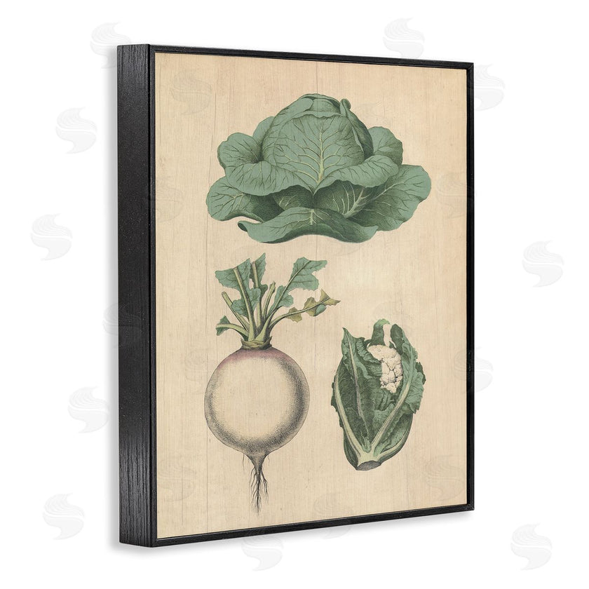 Stupell Studio | Vintage Garden Vegetables