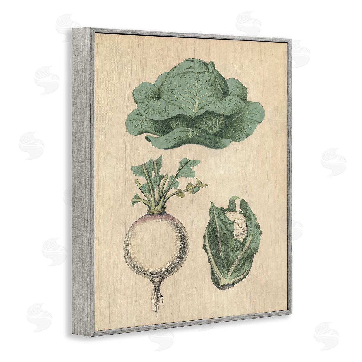 Vintage Garden Vegetables Grey Frame Print Wall Art, Home Decor by Stupell Studio