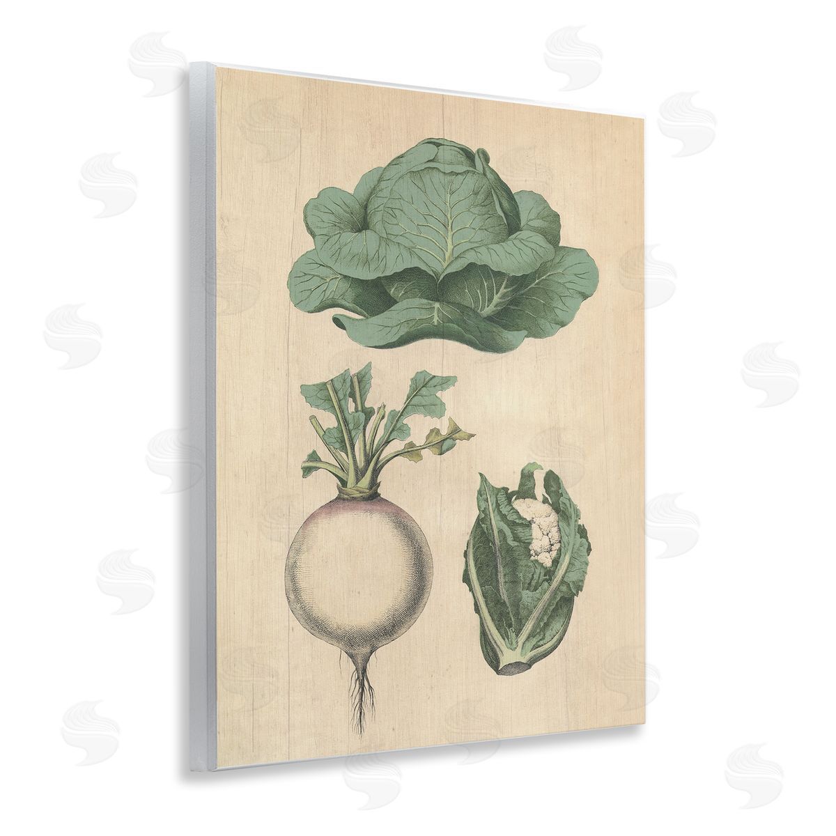 Vintage Garden Vegetables Wood Plaque Wall Art, Home Decor by Stupell Studio