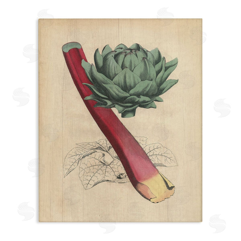 Stupell Studio | Vintage Vegetable Studies