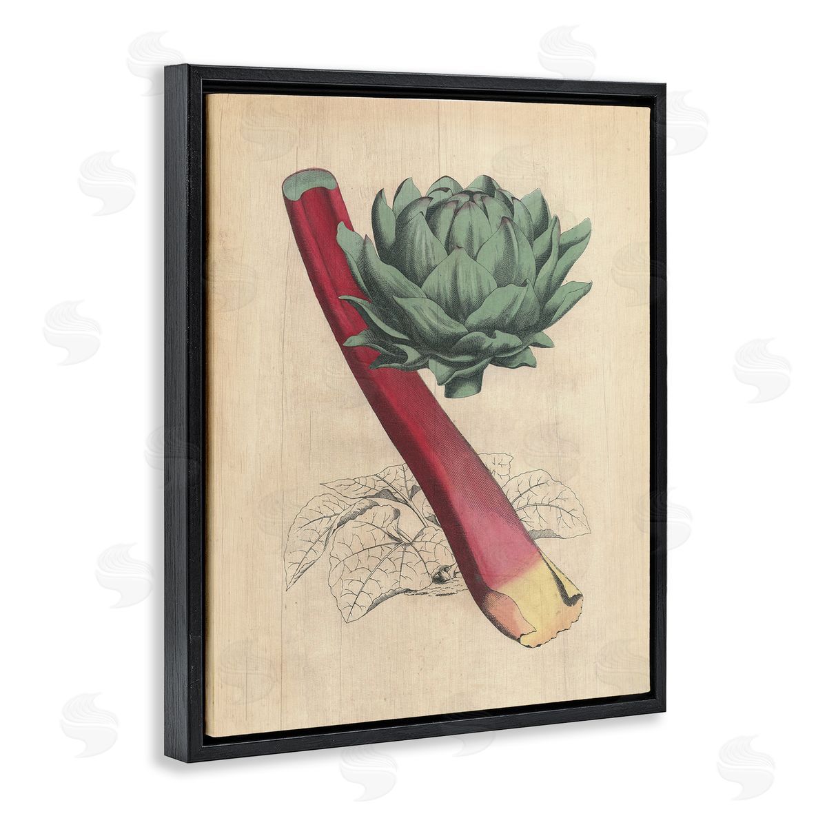 Vintage Vegetable Studies Black Floating Frame Canvas Wall Art, Home Decor by Stupell Studio