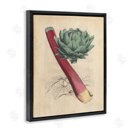 Stupell Studio | Vintage Vegetable Studies