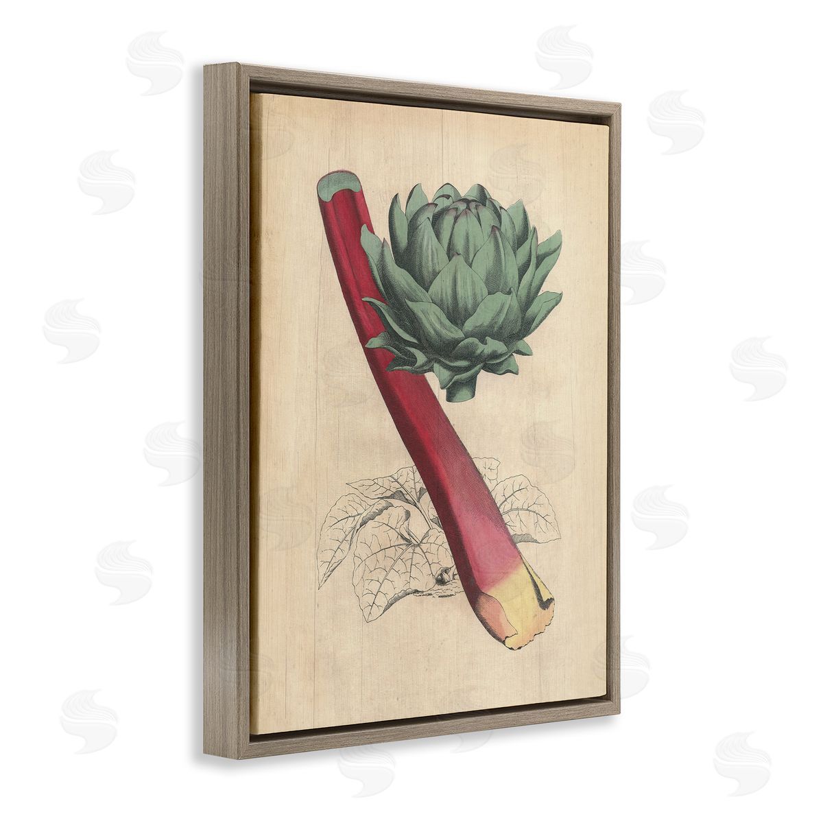 Vintage Vegetable Studies Brown Floating Frame Canvas Wall Art, Home Decor by Stupell Studio