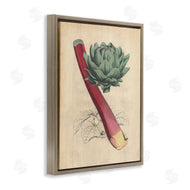 Stupell Studio | Vintage Vegetable Studies