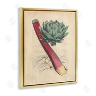 Stupell Studio | Vintage Vegetable Studies