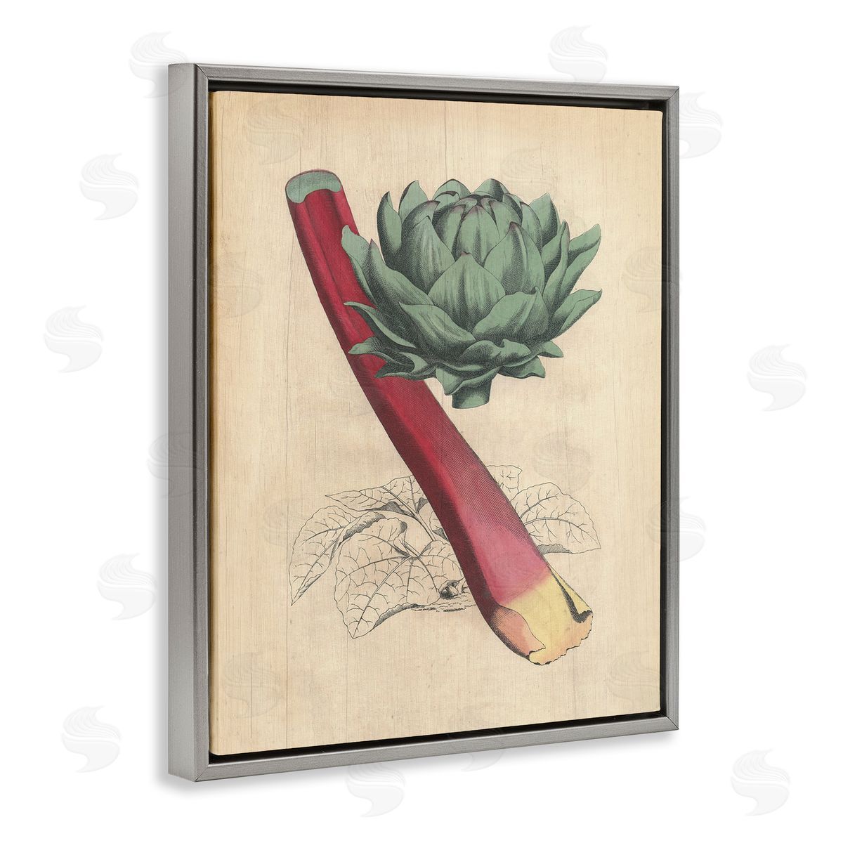 Vintage Vegetable Studies Grey Floating Frame Canvas Wall Art, Home Decor by Stupell Studio
