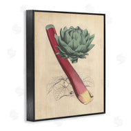 Stupell Studio | Vintage Vegetable Studies