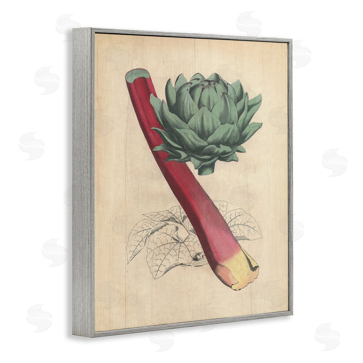 Vintage Vegetable Studies Grey Frame Print Wall Art, Home Decor by Stupell Studio