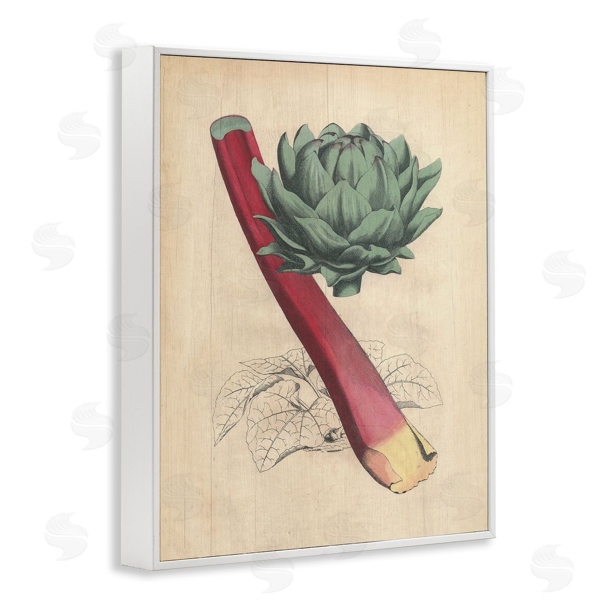 Vintage Vegetable Studies White Frame Print Wall Art, Home Decor by Stupell Studio