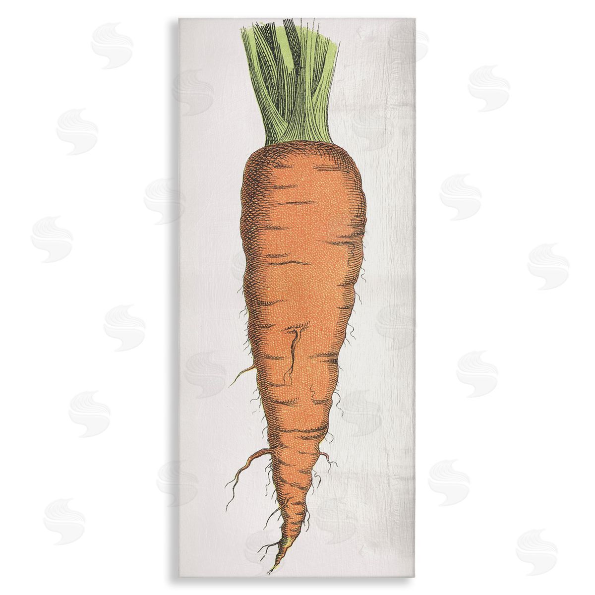 Detailed Carrot Study Canvas Wall Art, Home Decor by Stupell Studio