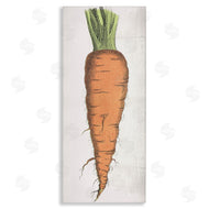 Stupell Studio | Detailed Carrot Study