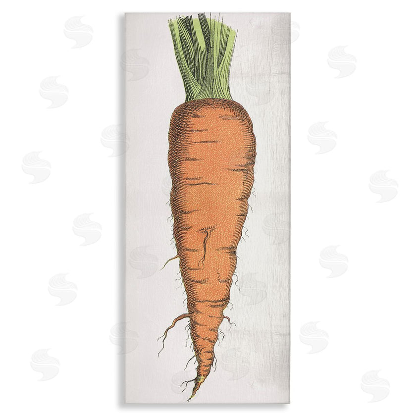 Stupell Studio | Detailed Carrot Study