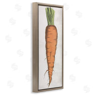 Stupell Studio | Detailed Carrot Study