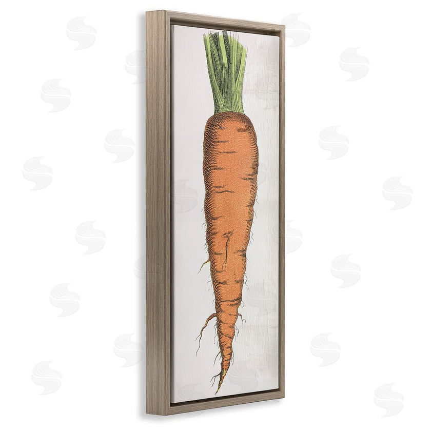Stupell Studio | Detailed Carrot Study