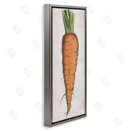 Stupell Studio | Detailed Carrot Study