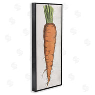 Stupell Studio | Detailed Carrot Study