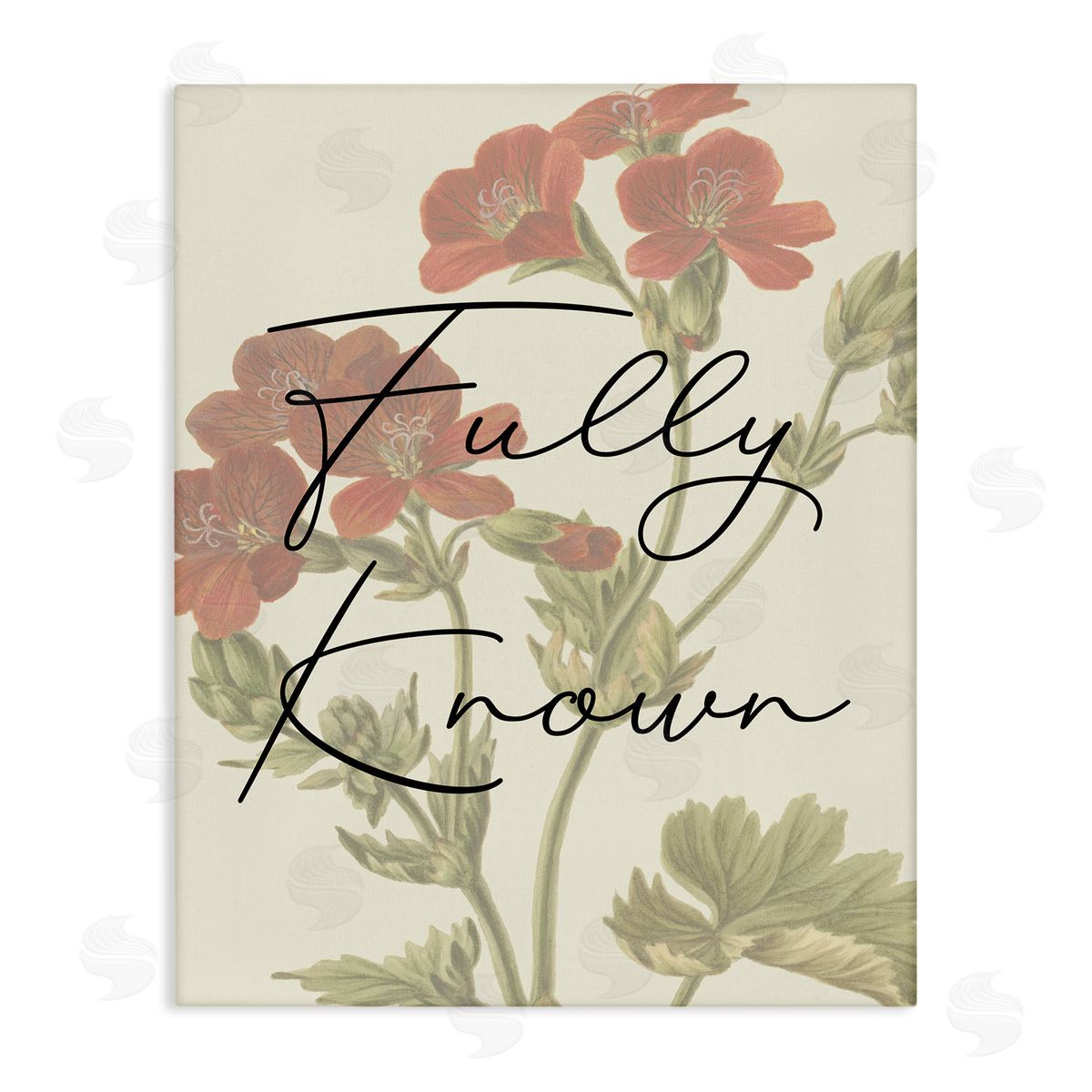 Fully Known on Floral Canvas Wall Art, Home Decor by Stupell Studio