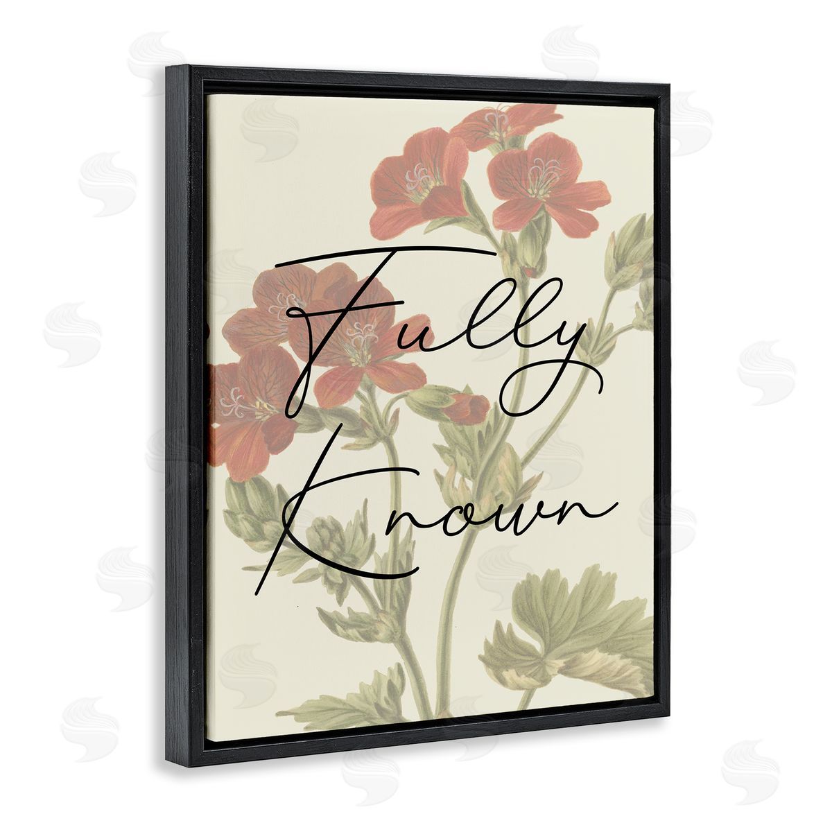 Fully Known on Floral Black Floating Frame Canvas Wall Art, Home Decor by Stupell Studio