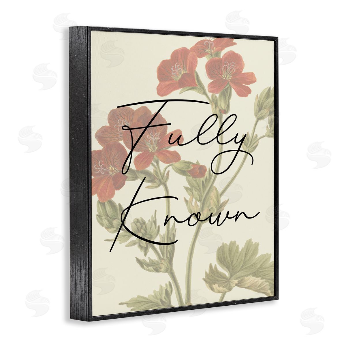 Fully Known on Floral Black Frame Print Wall Art, Home Decor by Stupell Studio