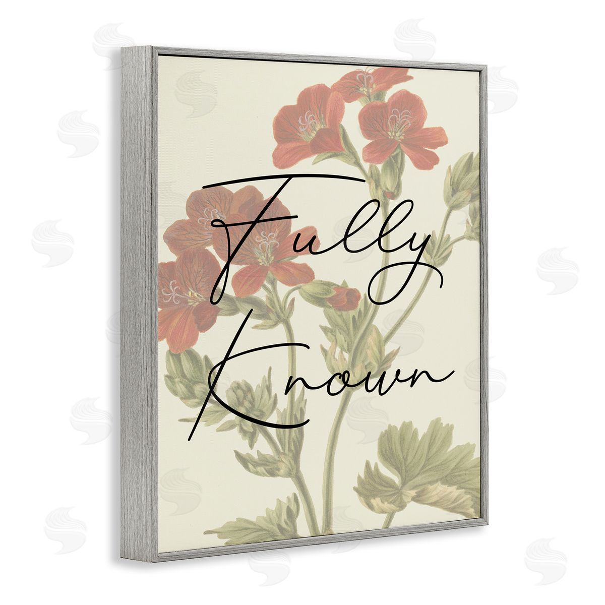 Fully Known on Floral Grey Frame Print Wall Art, Home Decor by Stupell Studio